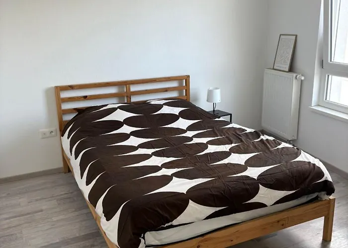 Proche Du Tram Et Du Stade Daire Strazburg